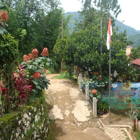 Se'pon Homestay Makale Luaran gambar
