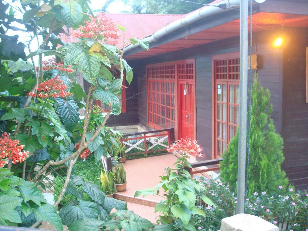 Se'pon Homestay Makale Luaran gambar